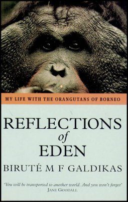 Reflections of Eden