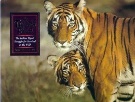 A Tiger's Tale