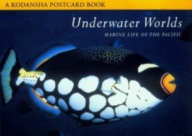 Underwater Worlds: Marine Life in the Pacific