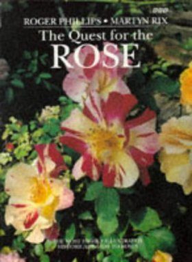 The Quest for the Rose