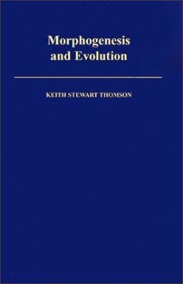 Morphogenesis and Evolution