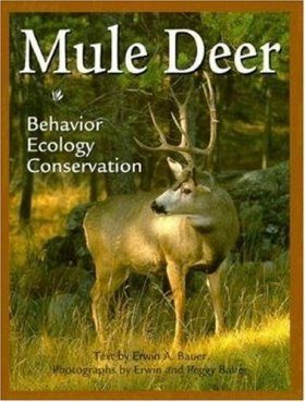 Mule Deer