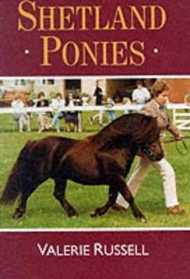 Shetland Ponies