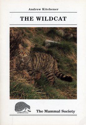 The Wildcat