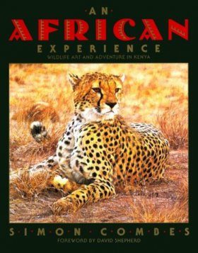 An African Experience