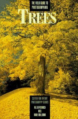 The Field Guide to Photographing Trees