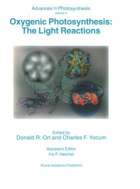 Oxygenic Photosynthesis: The Light Reactions