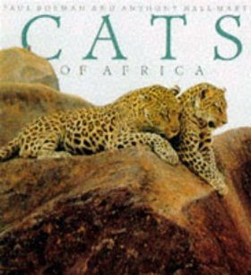 Cats of Africa