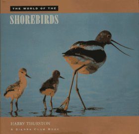 The World of the Shorebirds