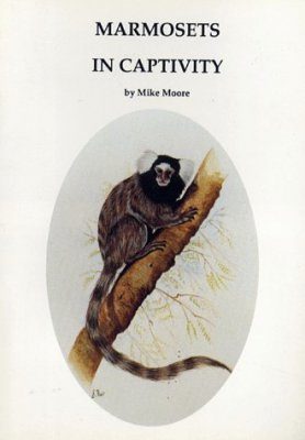 Marmosets in Captivity