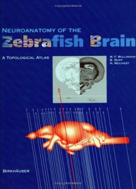 Neuroanatomy of the Zebrafish Brain
