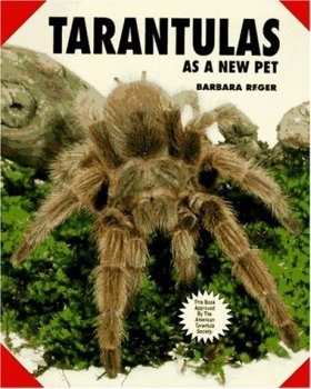 Tarantulas as a New Pet