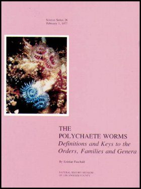 The Polychaete Worms