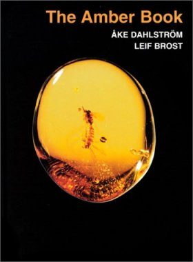 The Amber Book