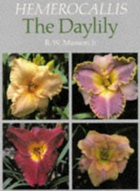 Hemerocallis: The Daylily