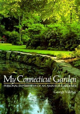 My Connecticut Garden