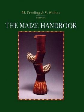 The Maize Handbook