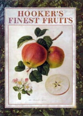 Hookers Finest Fruits