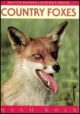 Country Foxes
