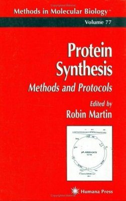 Protein Synthesis