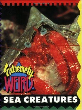 Extremely Weird Sea Creatures