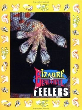 Bizarre and Beautiful Feelers