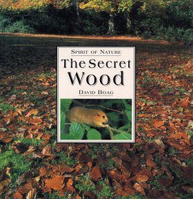 The Secret Wood