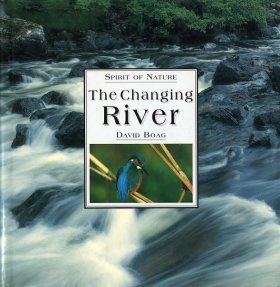 The Changing River