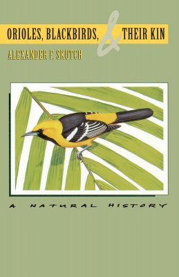 Orioles, Blackbirds, and Their Kin
