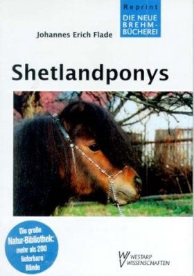 Shetlandponys