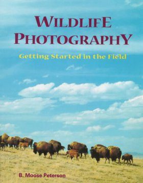 Wildlife Photography
