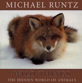 Wild Things: The Hidden World of Animals