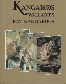 Kangaroos, Wallabies and Rat-Kangaroos