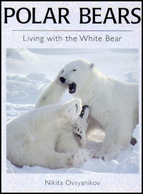 Polar Bears