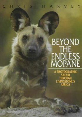 Beyond the Endless Mopane
