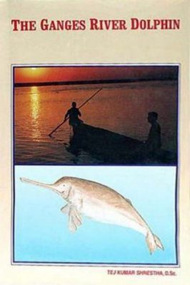 The Ganges River Dolphin