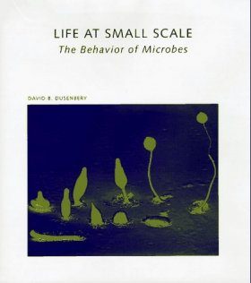 Life at Small Scale