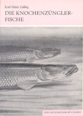 Die Knochenzüngler-Fische
