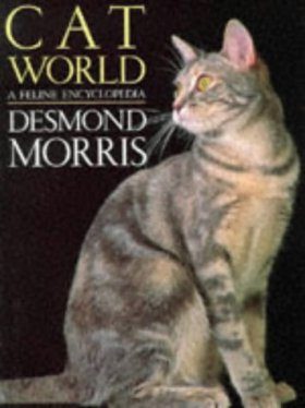 Cat World
