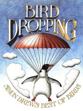 Bird Dropping