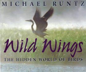 Wild Wings: The Hidden World of Birds
