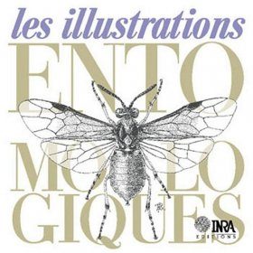 Les Illustrations Entomologiques
