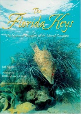 Florida Keys: The Natural Wonders of an Island Paradise