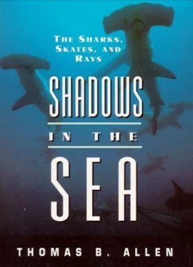 Shadows in the Sea