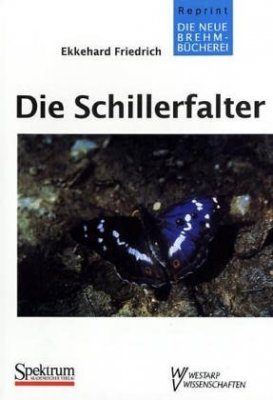 Die Schillerfalter