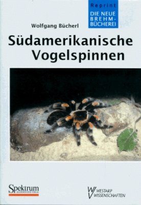 Südamerikanische Vogelspinnen