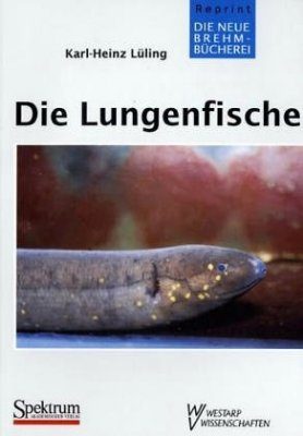 Die Lungenfische und der Südamerikanische Kurzschwanzaal