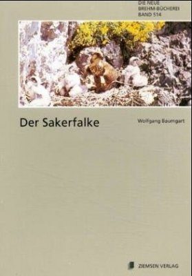 Der Sakerfalke (Saker Falcon)