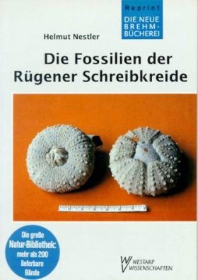 Die Fossilien der Rügener Schreibkreide