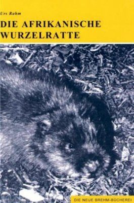 Die Afrikanische Wurzelratte (East African Mole Rat)